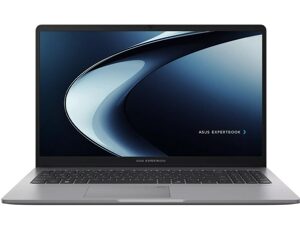 Asus ExpertBook P1 Notebook